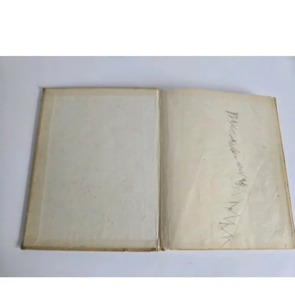 Blue Ribbon Cook Book Vintage Cookbook - Picture 4 of 7